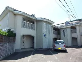 ファセリアNの画像