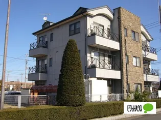 アベニュー21の画像