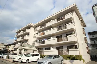 ベージュ大木の画像