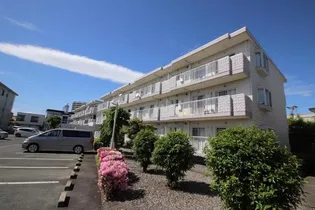 サンヒルズ藤B棟【1階】の外観