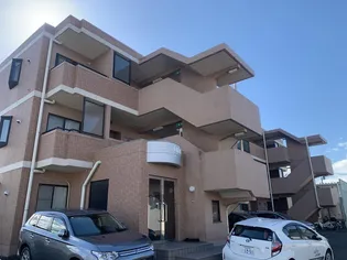 コートカメリアの画像