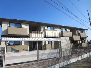 セリシールの画像