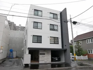 PINO COLLINAの画像