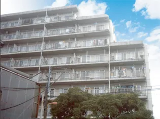 ハイクオリティ立花の画像