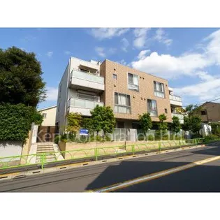 CASA CURIOSOの画像