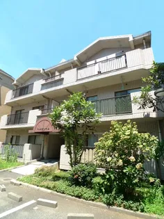 ベルヴィーユの画像