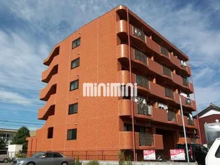 グリーントマトの画像