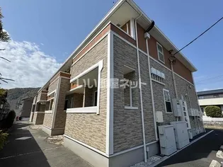 ハニーコッティの画像