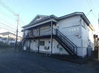 コスモスの画像