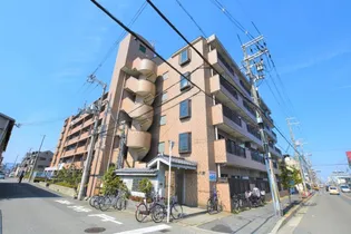 フェニックス八野の画像
