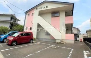 ライブリー共和の画像