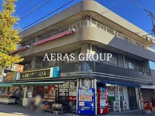 レオネクストニシダイの画像