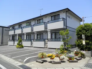 ファインIの画像