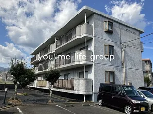 コンチェルトの画像