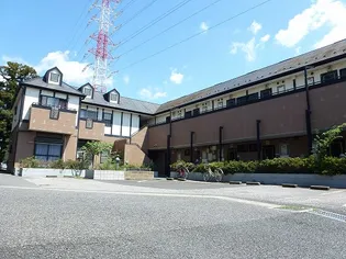 MINATO11の画像