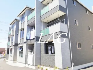 プルメリアの画像