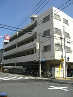 サンファミリー英の画像