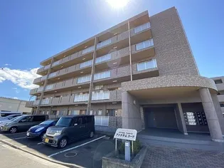 アトリウム コーツの画像