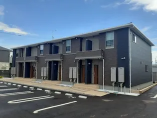 カルム キャトルズIIの画像