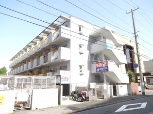 WE TSUDANUMAの画像