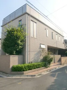 メイプルリーフの画像