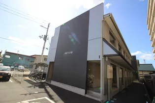 メルヴィIの画像