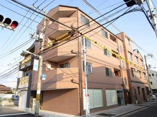 Y'S COMFORTの画像
