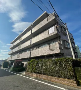 STELLAの画像