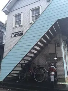 セルリアンローズの画像
