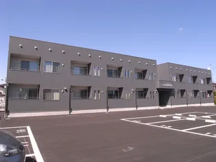 ラシュシュの画像