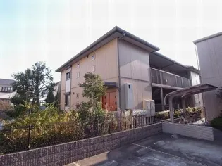 ORANGE DOORーオレンジドアーの画像