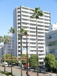 サーパス橘通東の画像