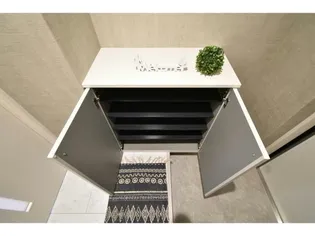 RIANMISASAGI【1階】の玄関