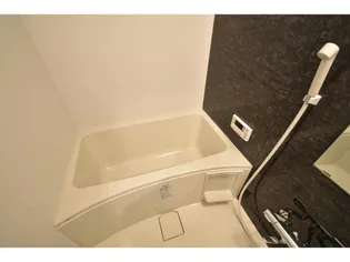 RIANMISASAGI【1階】の風呂