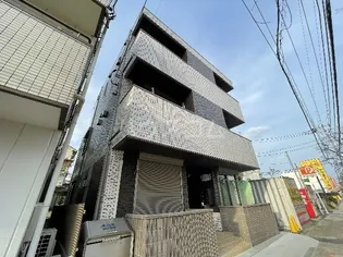 カーサリリーの画像