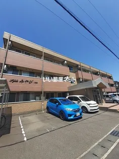 新潟県新潟市西区小新2【マンション】の外観