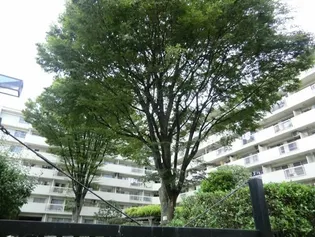 東京都港区南青山6【マンション】の外観