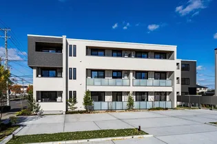 ベレオグリスィーヌの画像