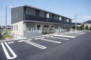 アメイジングソレイユの画像