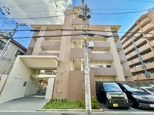 エスペランサ平野の画像