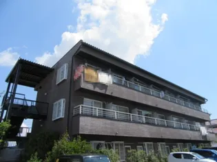 グリーンコートの画像