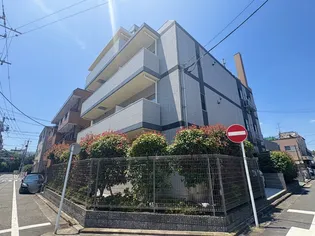 コルソプラシードの画像