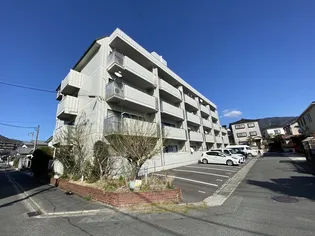 第二エバグレース音羽の画像