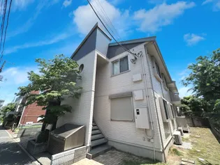 レセンテN Tの画像