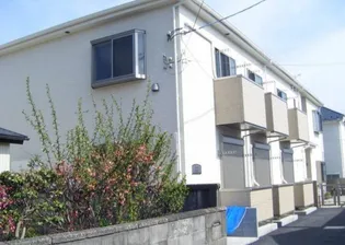 アムール YUKIの画像