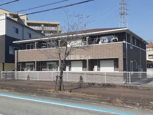 スターリーヒルズの画像