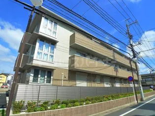 アネシスの画像