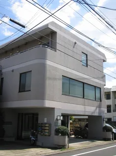 サンフラワー豊玉の画像