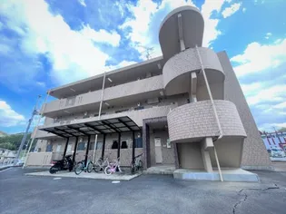 ピュアステージVの画像