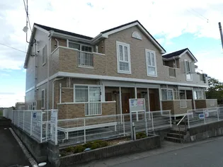 アルティプラーノAの画像